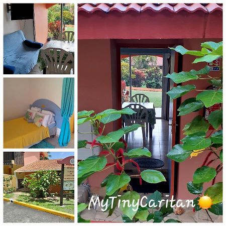 סנטה-אנה My Tiny Caritan- Petit Coin De Paradis- Bungalow De Vacances- Jardin, Plage, Piscine Attenante מראה חיצוני תמונה